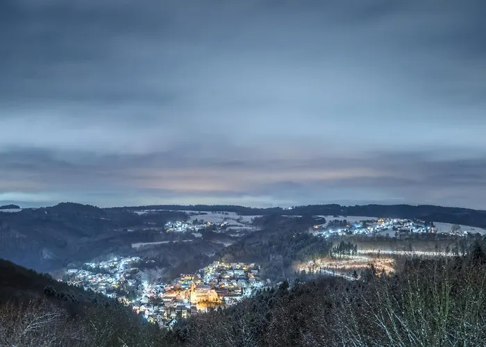 Waeller Haus - Modern With Fireplace & Large Natural Garden *