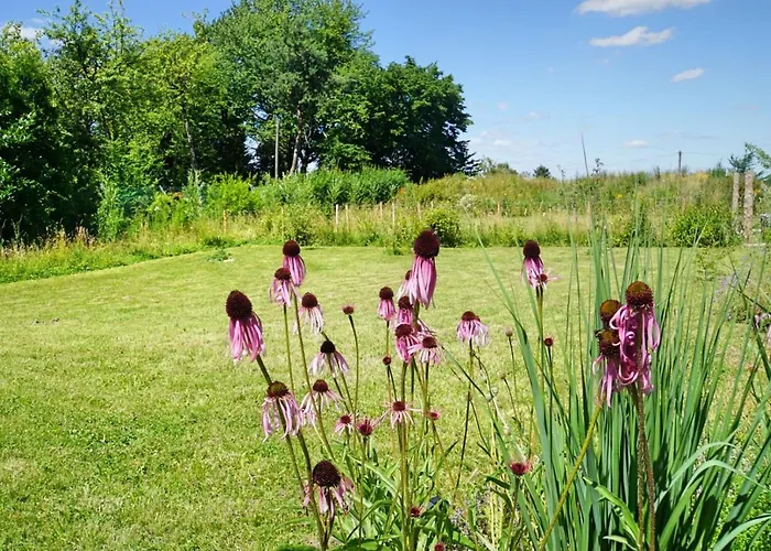 Waeller Haus - Modern With Fireplace & Large Natural Garden * Breitscheid (Rhineland-Palatinate)