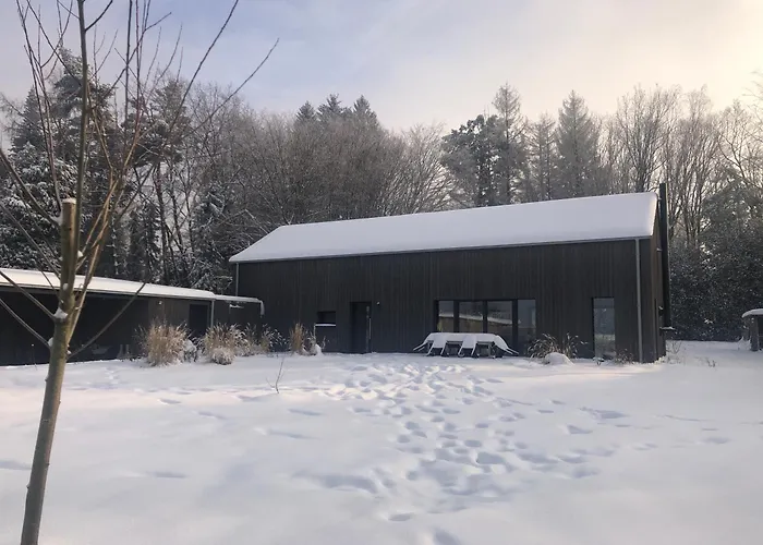 Waeller Haus - Modern With Fireplace & Large Natural Garden *